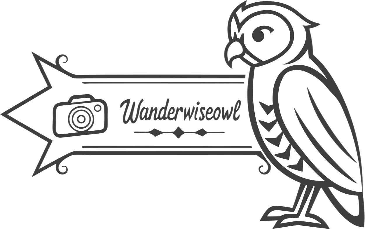 wanderwiseowl.com